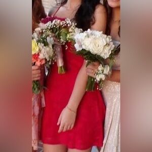 Princess Polly Red Mini Dress